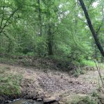 Timberland for sale in Winn Parish