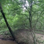 Winn Parish Investment property for sale