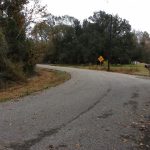 Calcasieu Parish Development property for sale