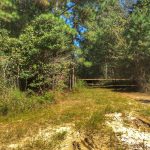 Allen Parish Recreational land for sale