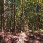 Investment land for sale in Allen Parish