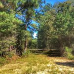 Allen Parish Hunting property for sale