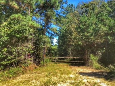 Allen Parish Hunting property for sale