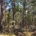 Allen Parish Investment property for sale
