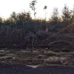 Recreational land for sale in Beauregard Parish