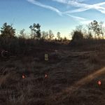 Beauregard Parish Investment property for sale