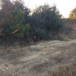 Beauregard Parish Recreational land for sale