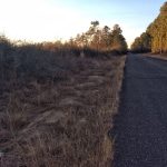 Investment land for sale in Beauregard Parish
