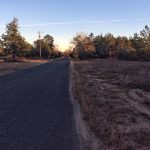 Beauregard Parish Ranchland for sale