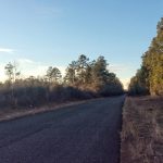 Recreational property for sale in Beauregard Parish