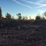 Ranchland property for sale in Beauregard Parish
