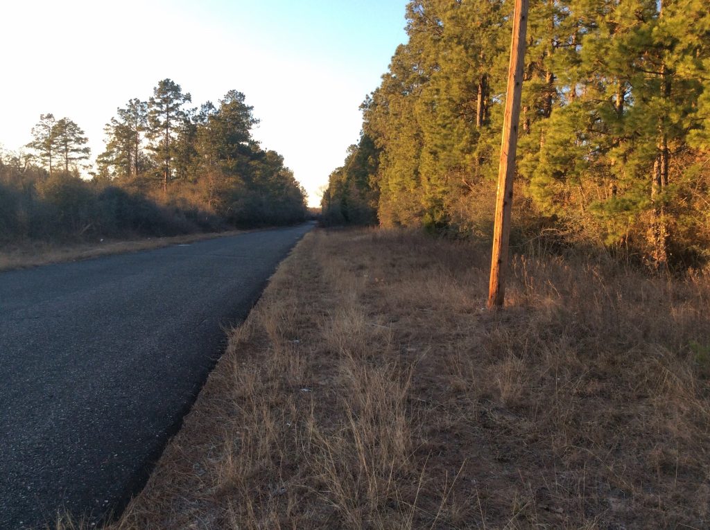 Beauregard Parish Investment land for sale