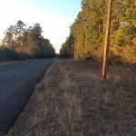 Beauregard Parish Investment land for sale