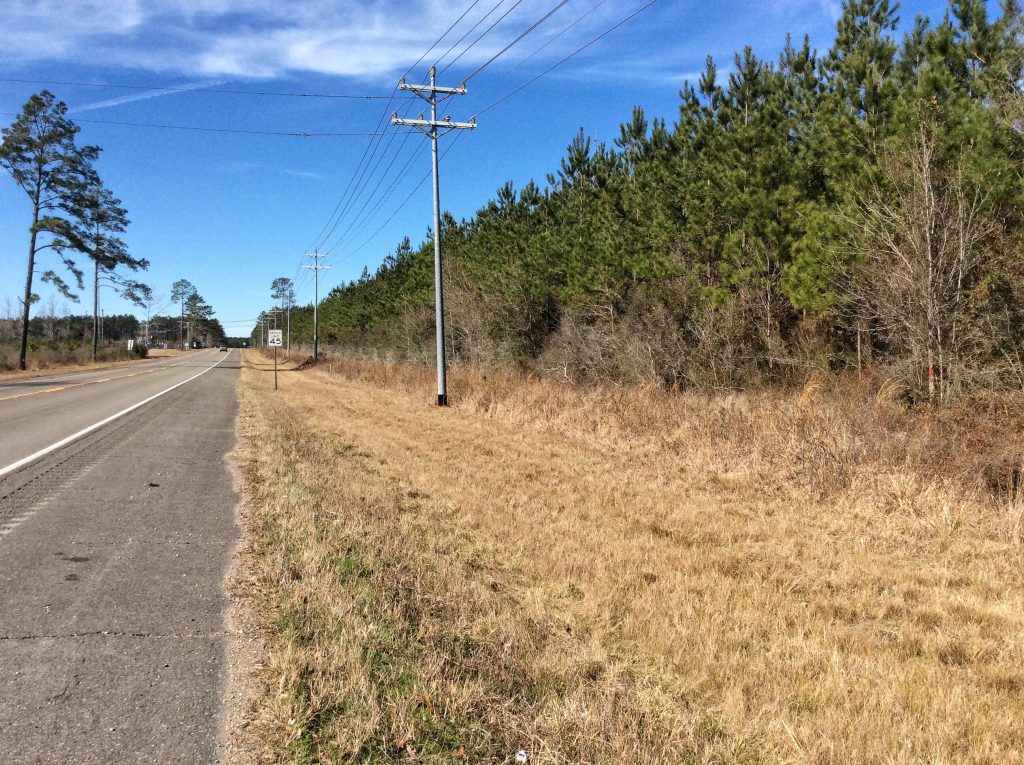 Timberland property for sale in Allen Parish