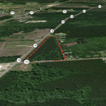 Allen Parish Timberland for sale