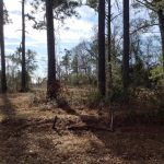 Recreational land for sale in Vernon Parish