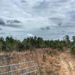 Calcasieu Parish Development property for sale