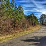 Vernon Parish Recreational property for sale
