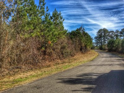 Vernon Parish Recreational property for sale
