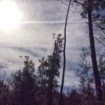 Vernon Parish Recreational land for sale