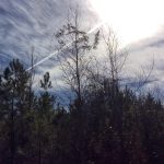 Development property for sale in Vernon Parish