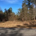 Development land for sale in Vernon Parish