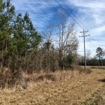 Timberland for sale in Allen Parish