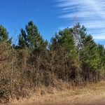 Development property for sale in Vernon Parish