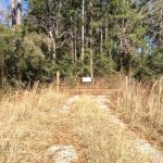 Allen Parish Agricultural land for sale