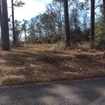 Timberland for sale in Vernon Parish