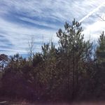 Recreational land for sale in Vernon Parish