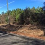 Investment land for sale in Vernon Parish