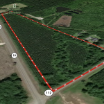 Agricultural land for sale in Allen Parish