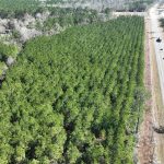 Allen Parish Agricultural land for sale