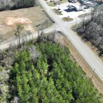 Allen Parish Timberland for sale