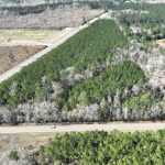 Timberland property for sale in Allen Parish