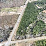 Agricultural property for sale in Allen Parish