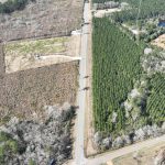 Allen Parish Timberland property for sale