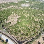 Calcasieu Parish Timberland property for sale