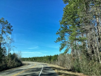 Timberland for sale in Allen Parish