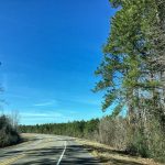 Allen Parish Agricultural property for sale