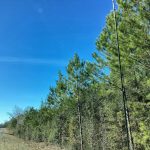 Allen Parish Investment property for sale