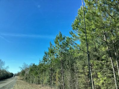 Allen Parish Investment property for sale