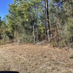 Allen Parish Investment land for sale