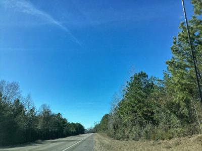 Allen Parish Recreational land for sale