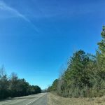 Investment land for sale in Allen Parish