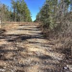 Investment land for sale in Allen Parish