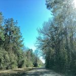 Allen Parish Recreational property for sale