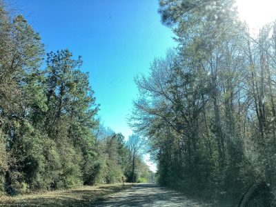 Allen Parish Recreational property for sale