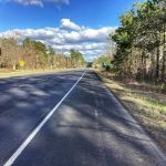 Calcasieu Parish Timberland for sale